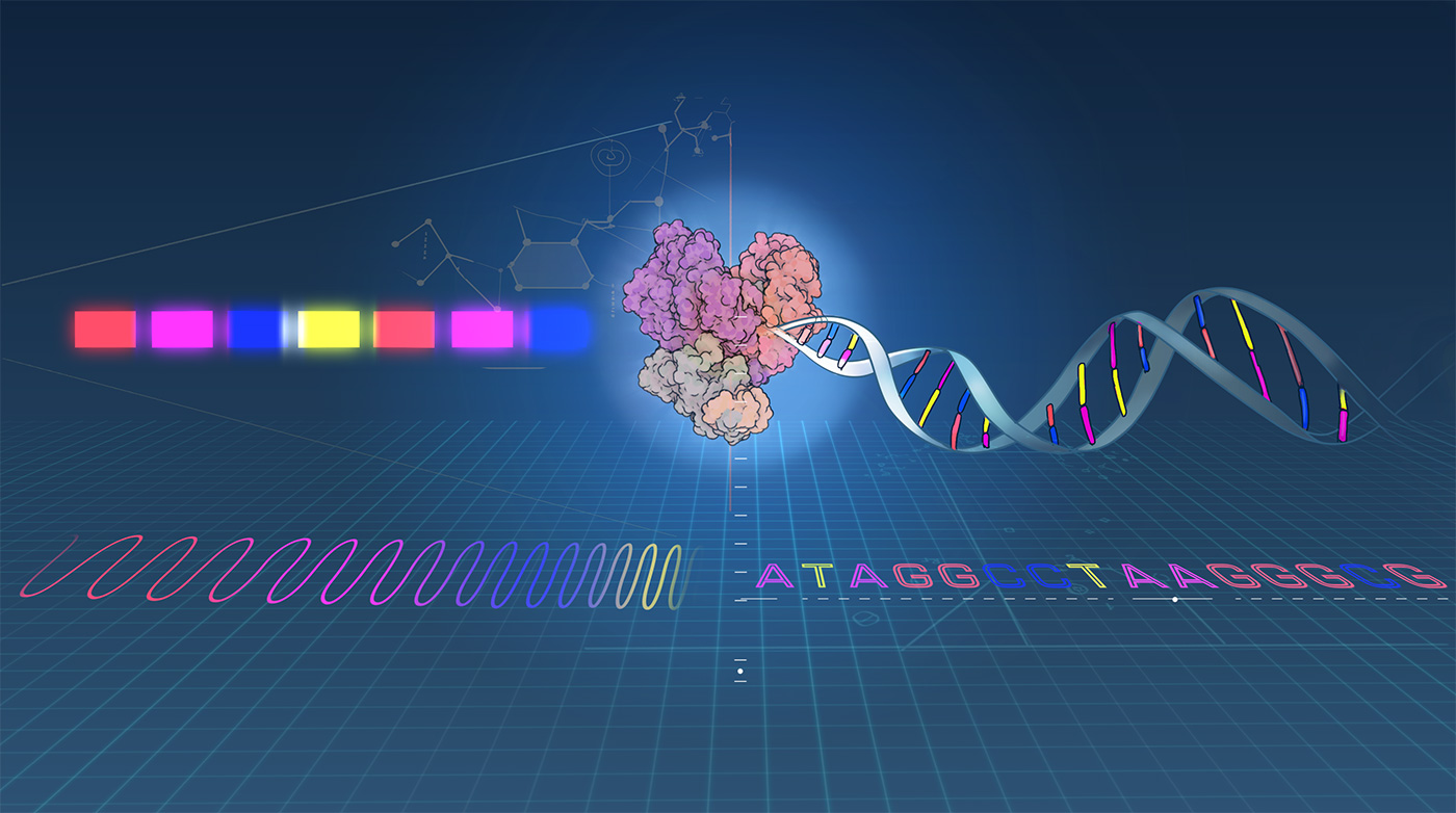 GO: Seeks to harness the power of light to direct the synthesis of DNA and RNA directly within living cells. GO: Seeks to harness the power of light to direct the synthesis of DNA and RNA directly within living cells.